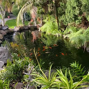 https://el-time.in-canary-islands.com